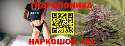 круглые Лесосибирск